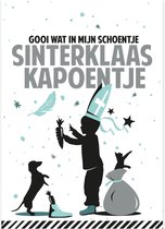 verlanglijstje Sinterklaas Jongen ansichtkaart-model op stevig papier