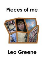Pieces Of Me