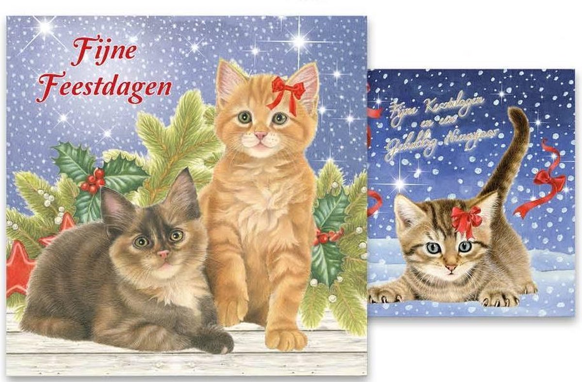 Kaarten - Kerst - Franciens katten - Kittens bij kersttak / Kitten in  sneeuw - 2... | bol.com