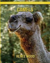 Camels