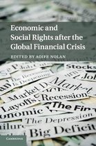 Economic Social Rights Financial Crisis