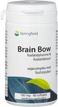 Springfield Brain Bow 60 st