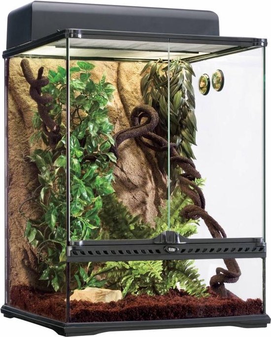 Exo Terra GlassTerrarium Regenwoud Habitat Kit 60 x 45 x 45 cm