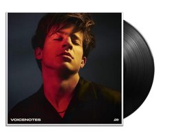 Voicenotes (LP)