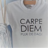 Baby Rompertje cadeautje zwangerschap aankondiging tekst |  pluk de dag carpe diem | korte mouw | wit zwart | maat 62/68 | geboorte kraamcadeau cadeau