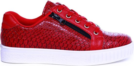 Dames lage slangenprint sneakers met rits in rood | Bestel nu!