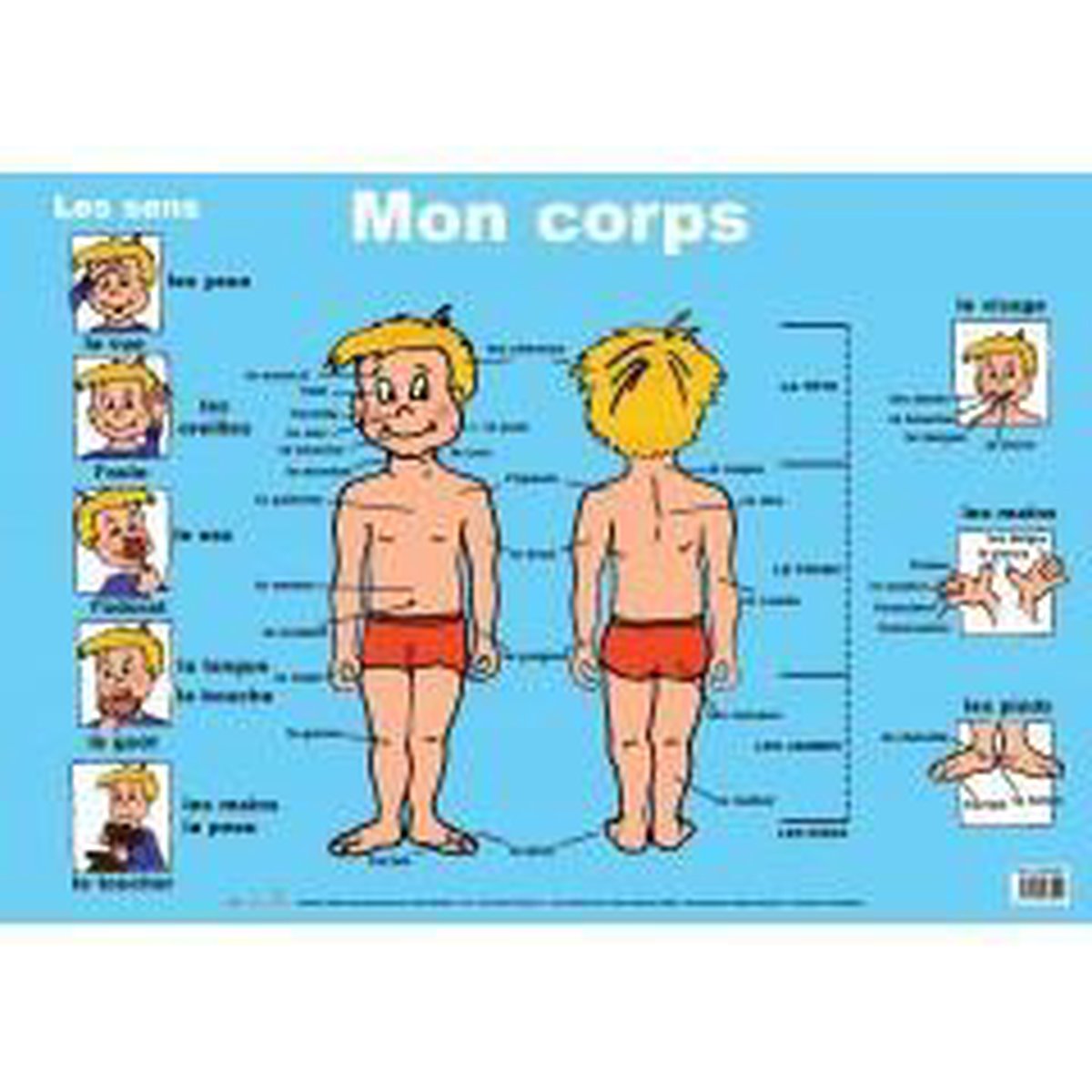 Mon corps