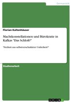 Machtkonstellationen und Bürokratie in Kafkas 'Das Schloß?'