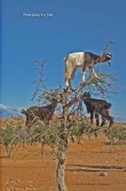 Three Goats in a Tree