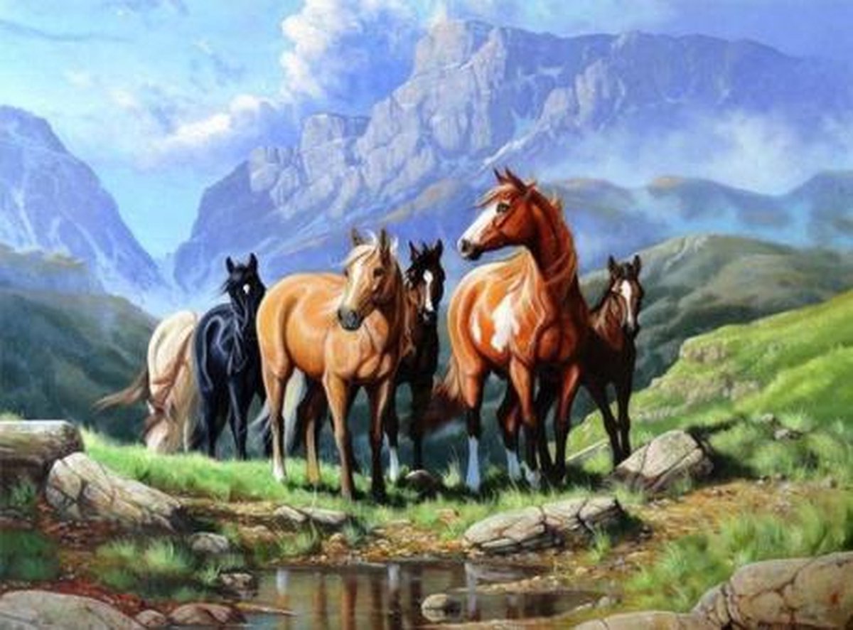 SEOS Shop ® Diamond Painting - Paarden in een veld - FULL - 40x30cm - Vierkant