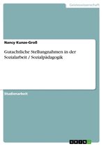 Gutachtliche Stellungnahmen in der Sozialarbeit / Sozialpädagogik