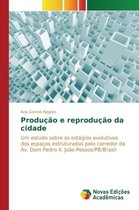 Produção e reprodução da cidade