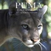 Puma Calendar 2019