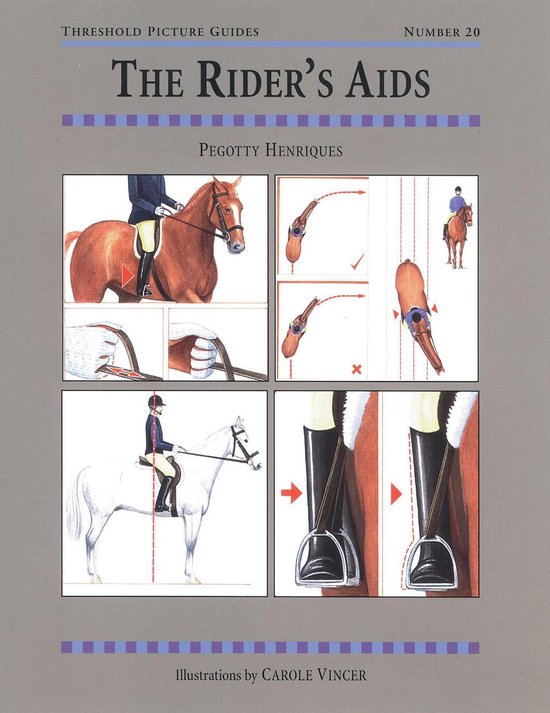 The RIDER'S AIDS - cover
