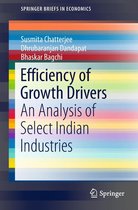 SpringerBriefs in Economics - Efficiency of Growth Drivers