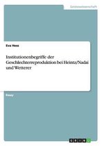 Institutionenbegriffe der Geschlechterreproduktion bei Heintz/Nadai und Wetterer