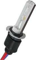 Xenon H3 Lamp 1000K