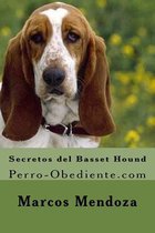 Secretos del Basset Hound