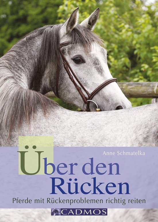 Ausbildung von Pferd und Reiter - Über den Rücken - cover