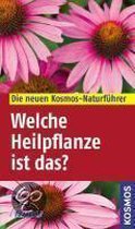 Welche Heilpflanze ist das?