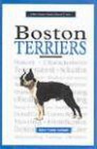 New Owner's Guide To Boston Terriers