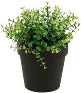 Kunstplant eucalyptus groen in pot 20 cm - Kamerplant groene eucalyptus
