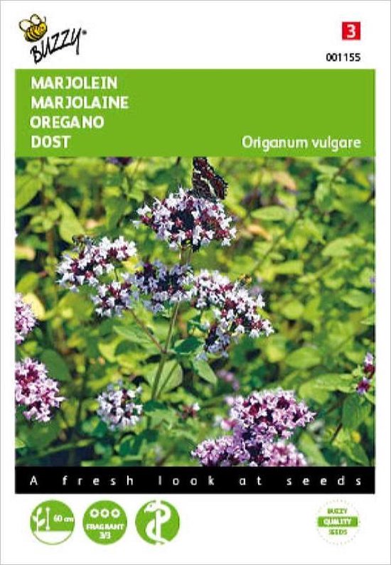 Buzzy® Marjolein Oregano Zaden