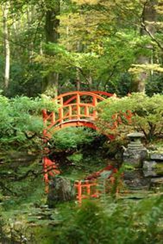 waarom stilte Voorbijgaand Japanse Tuin Muurposter - 95 x 130 cm - Voor Binnen en Buiten | bol.com