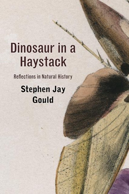 Dinosaur In A Haystack - cover
