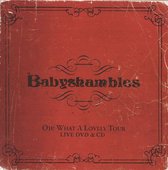 Oh What A Lovely Tour -  Babyshambles Live