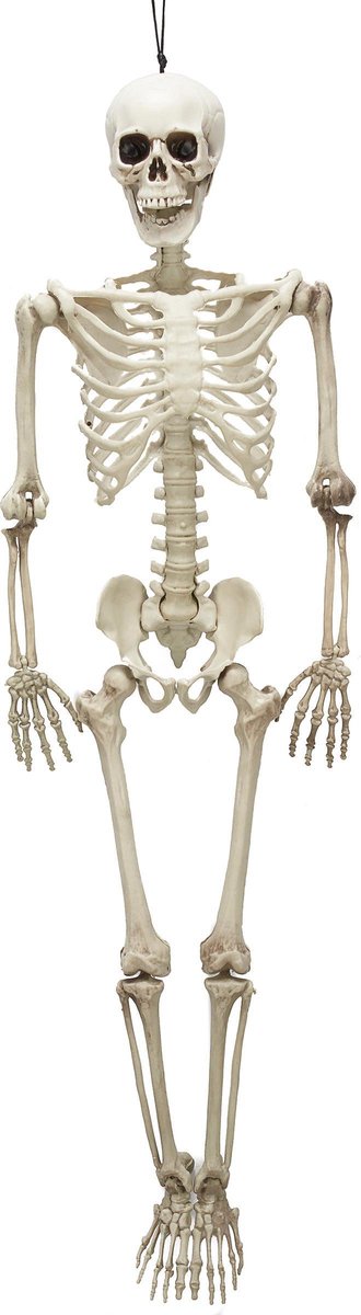 Vegaoo - Skeletten decoratie voor Halloween