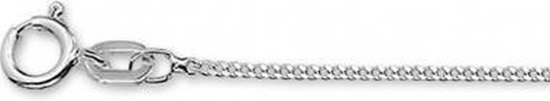 Collier Tomylo Argent Gourmet 1018774