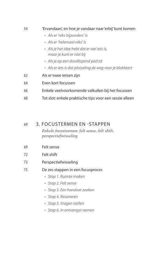 Tekstpagina van een boek met titels van hoofdstukken zoals "3. FOCUSTERMEN EN -STAPPEN" en "Enkele focus-termen: felt sense, felt shift, perspectiefwisseling".