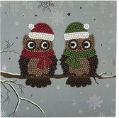 Diamond Painting Crystal Card Kit ® Pair of Owls, 18x18 cm, Partial Painting