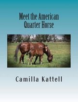 Meet the American Quarter Horse