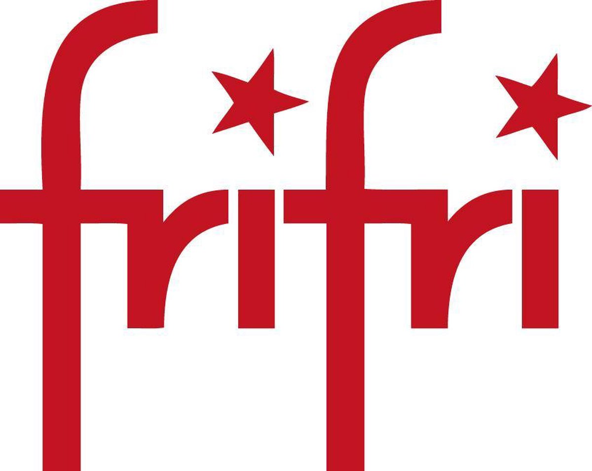 Friteuse FriFri 1528 4L 3200W Ronde