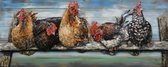 Schilderij - Metaalschilderij - Kippen op Stok, 60x150
