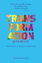 The Transformation Promise
