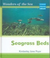 Wonders of the Sea Seagrass Beds Macmillan Library