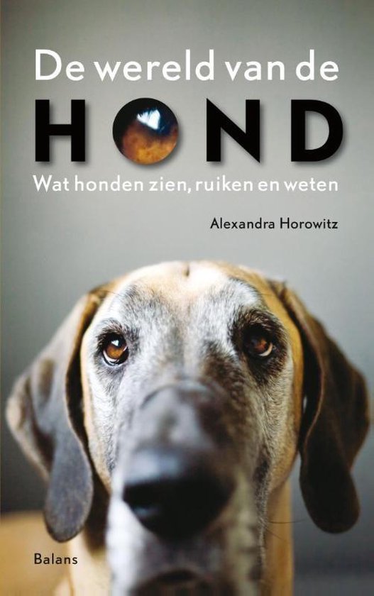 De Wereld Van De Hond - Alexandra Horowitz | Nextbestfoodprocessors.com
