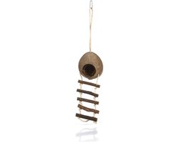 Beeztees Kokosnoothuisje + Ladder - Knaagdierspeelgoed - Voor in Knaagdierkooi - 30 cm