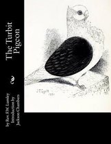 The Turbit Pigeon