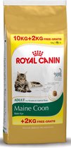 Royal Canin Maine Coon Adult - Kattenvoer - 10+2 kg Bonusbag
