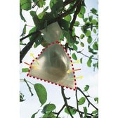 Fruithoezen 20 x 30 cm - set 50 stuks