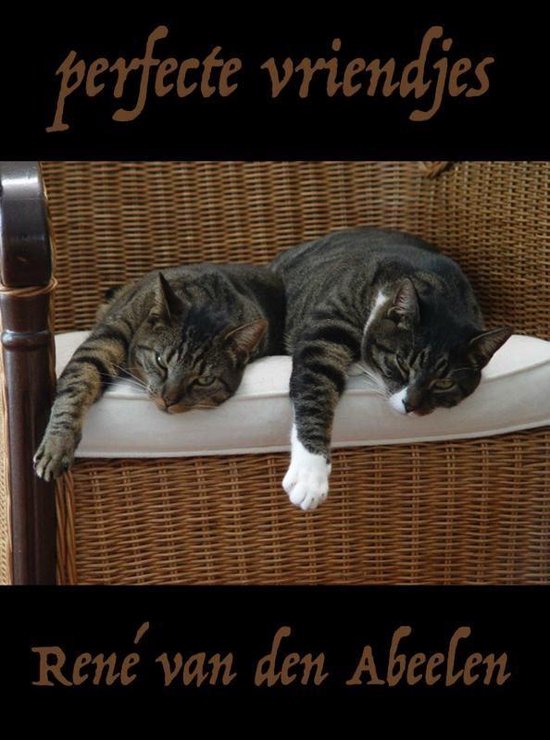 Perfecte vriendjes - cover