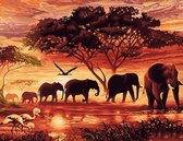 Peinture en chiffres - Éléphants au soleil couchant - 40 x 50 centimètres