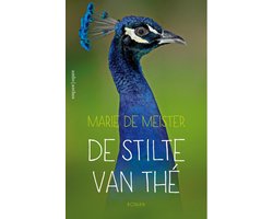 Omslag van De stilte van Thé