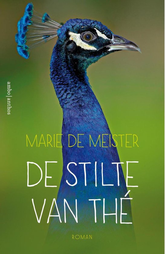 De stilte van Thé - Marie de Meister | Warmolth.org