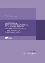 Premio Antonio Delgado 4 - La protección de la propiedad intelectual vulnerada en internet