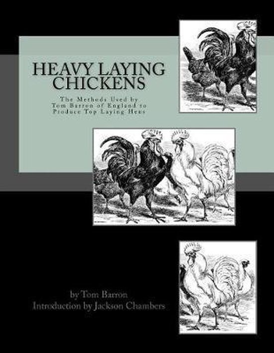 Heavy Laying Chickens - cover
